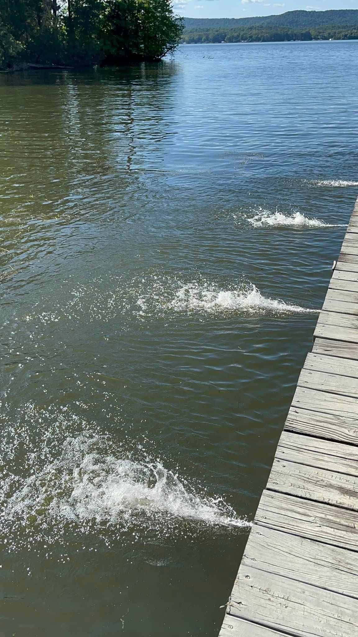 A dock is leading to a large body of water.