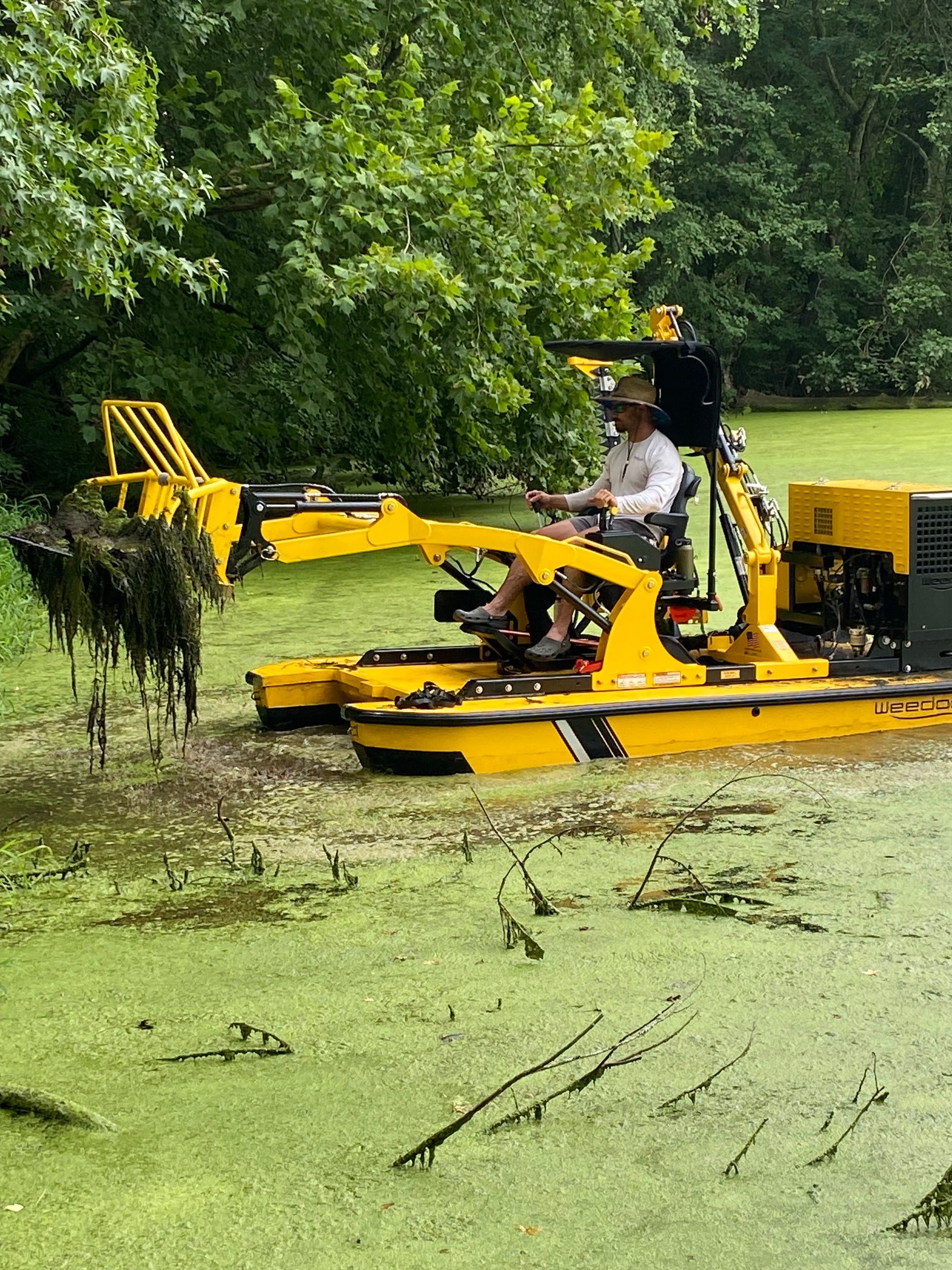A man is driving a yellow tractor through a swamp.