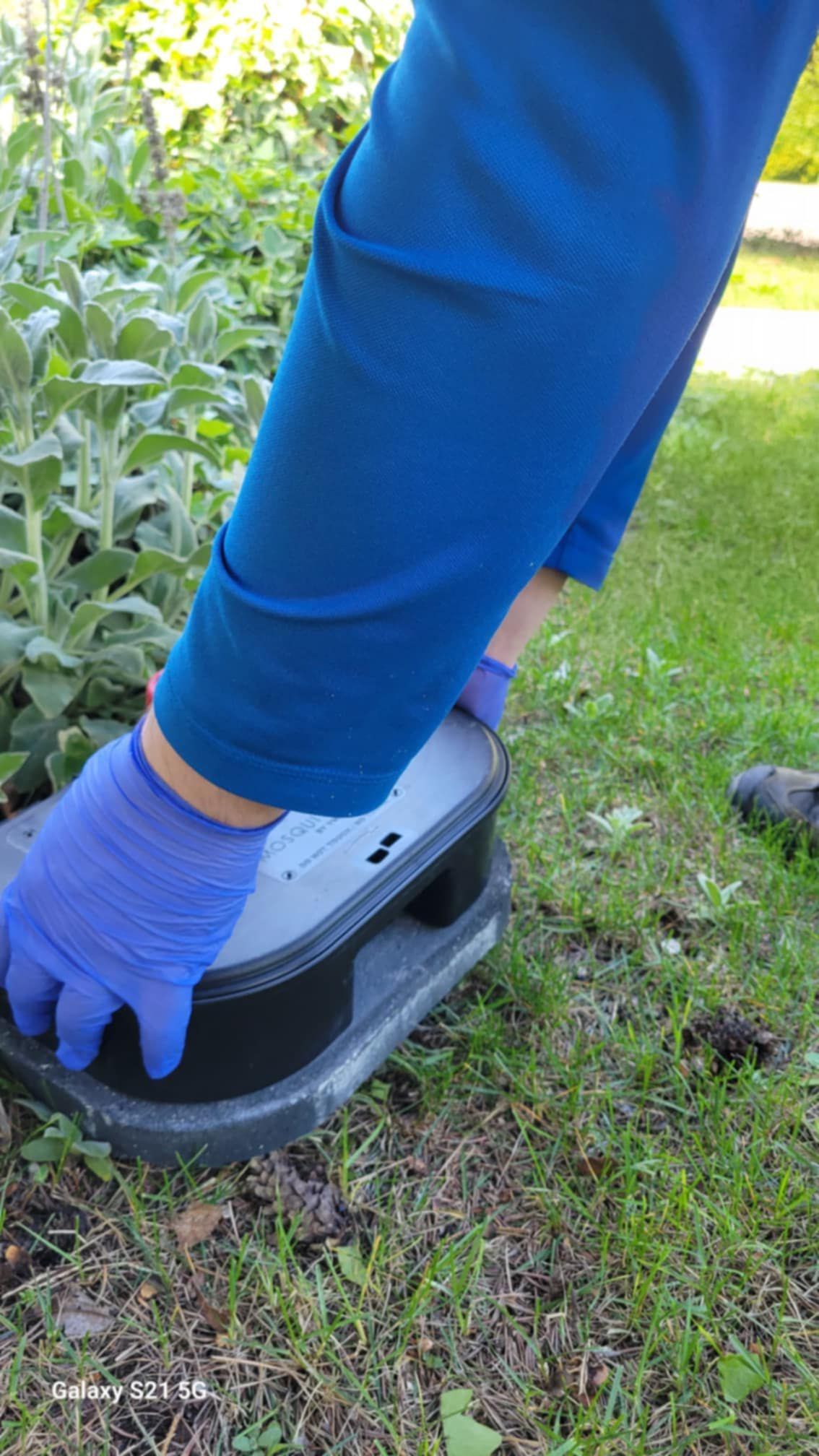 A person wearing blue gloves is standing on a box in the grass