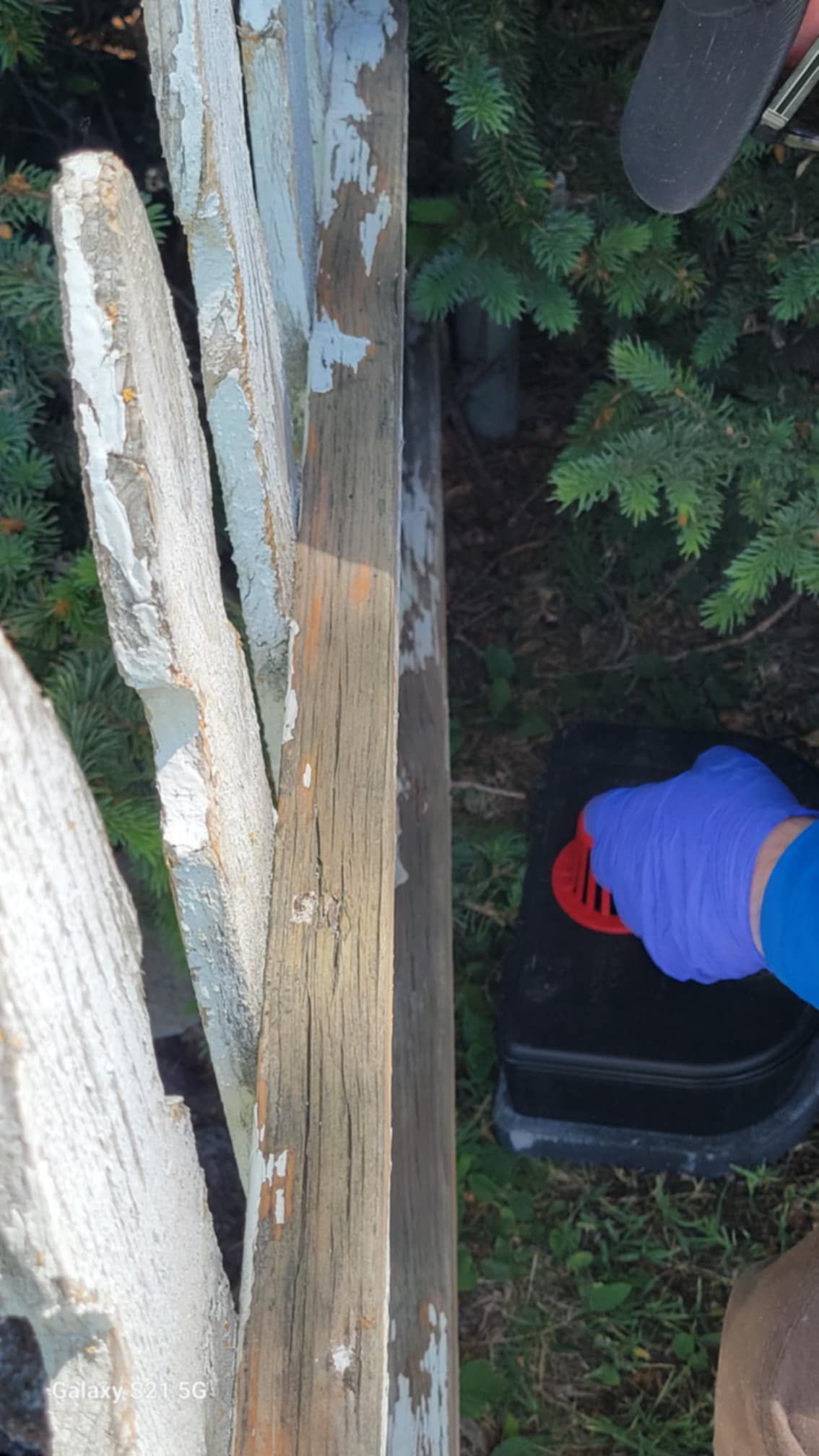 A person wearing blue gloves is cutting a piece of wood