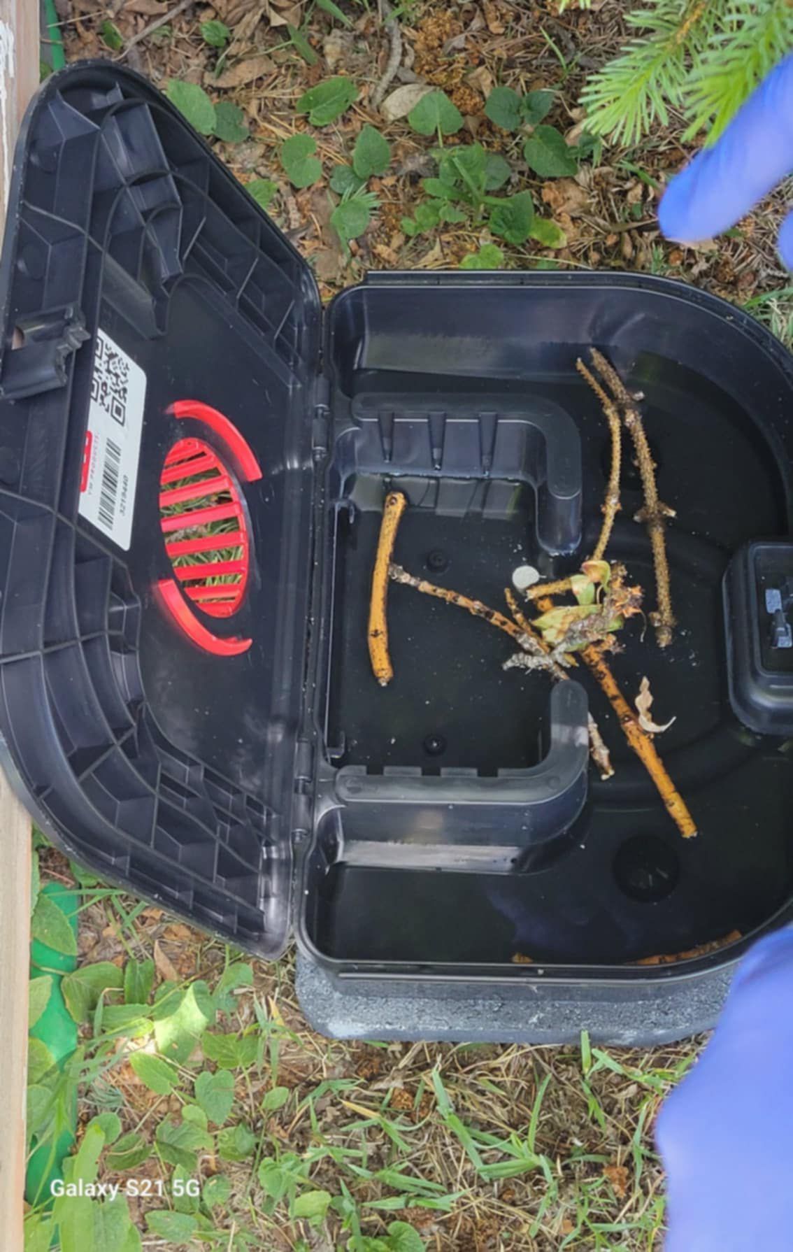 A person is holding a mouse trap with a bunch of sticks in it