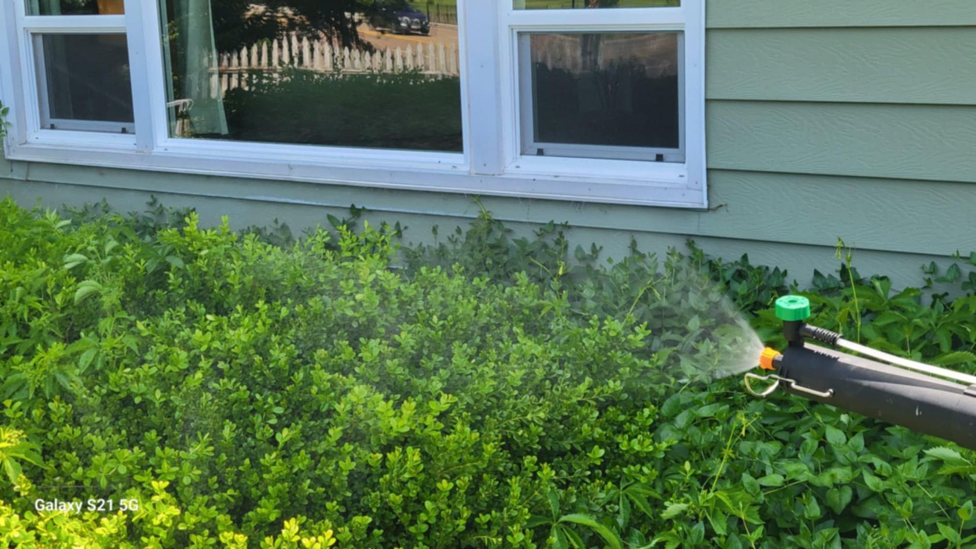 A person is spraying plants in front of a house