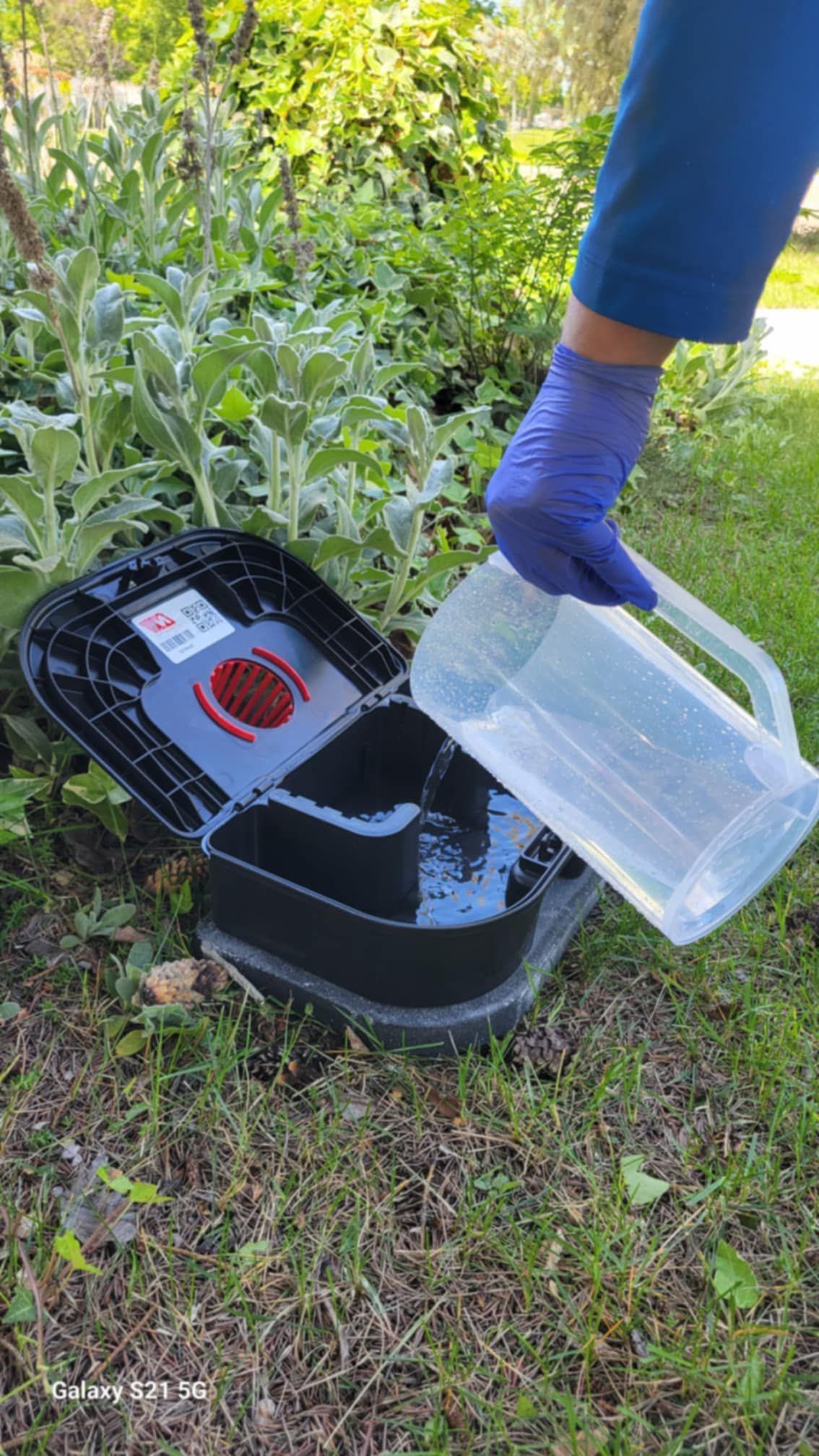 A person is pouring water into a container