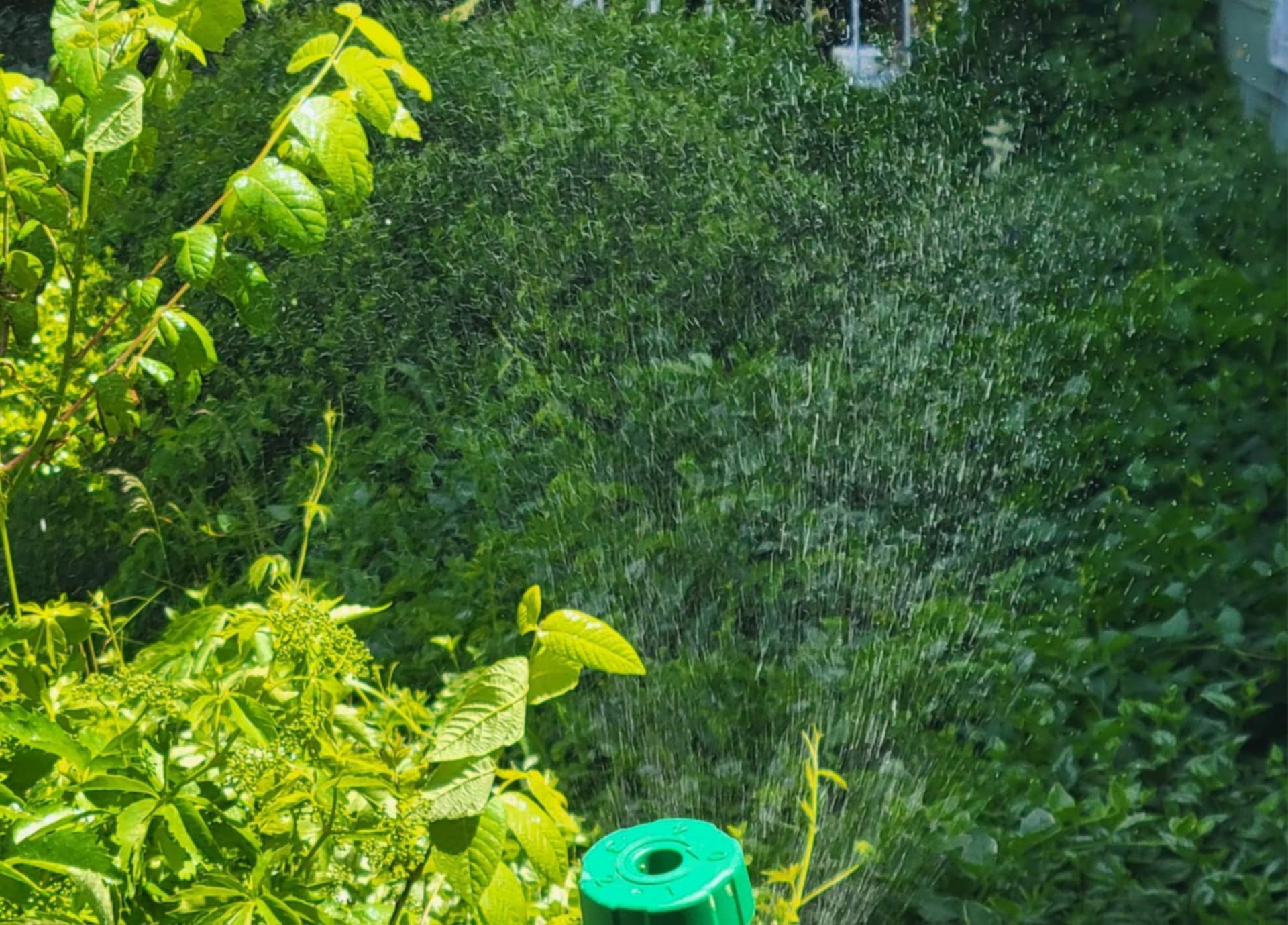 A green sprinkler is spraying water on a lush green field