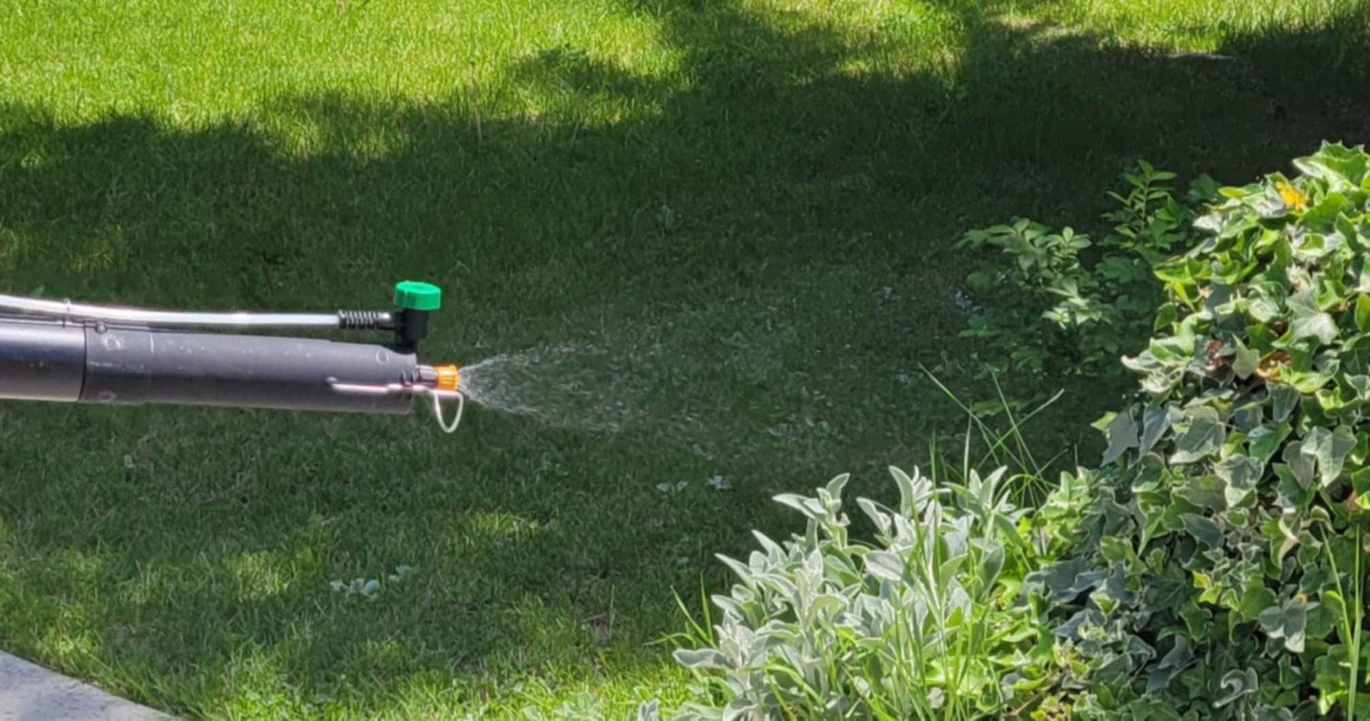 A person is spraying a lawn with a sprayer