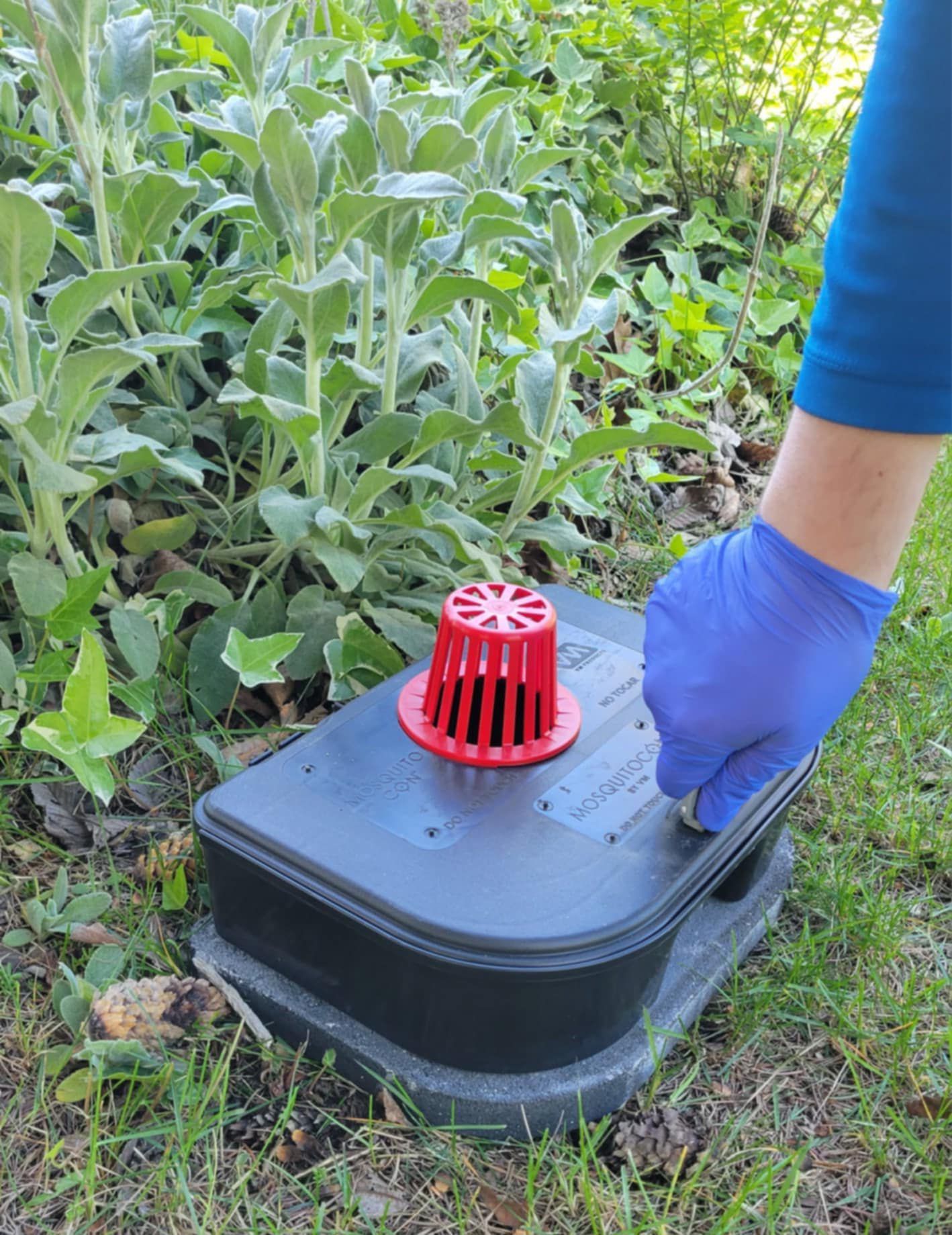 A person wearing blue gloves is holding a black box with a red drain on top