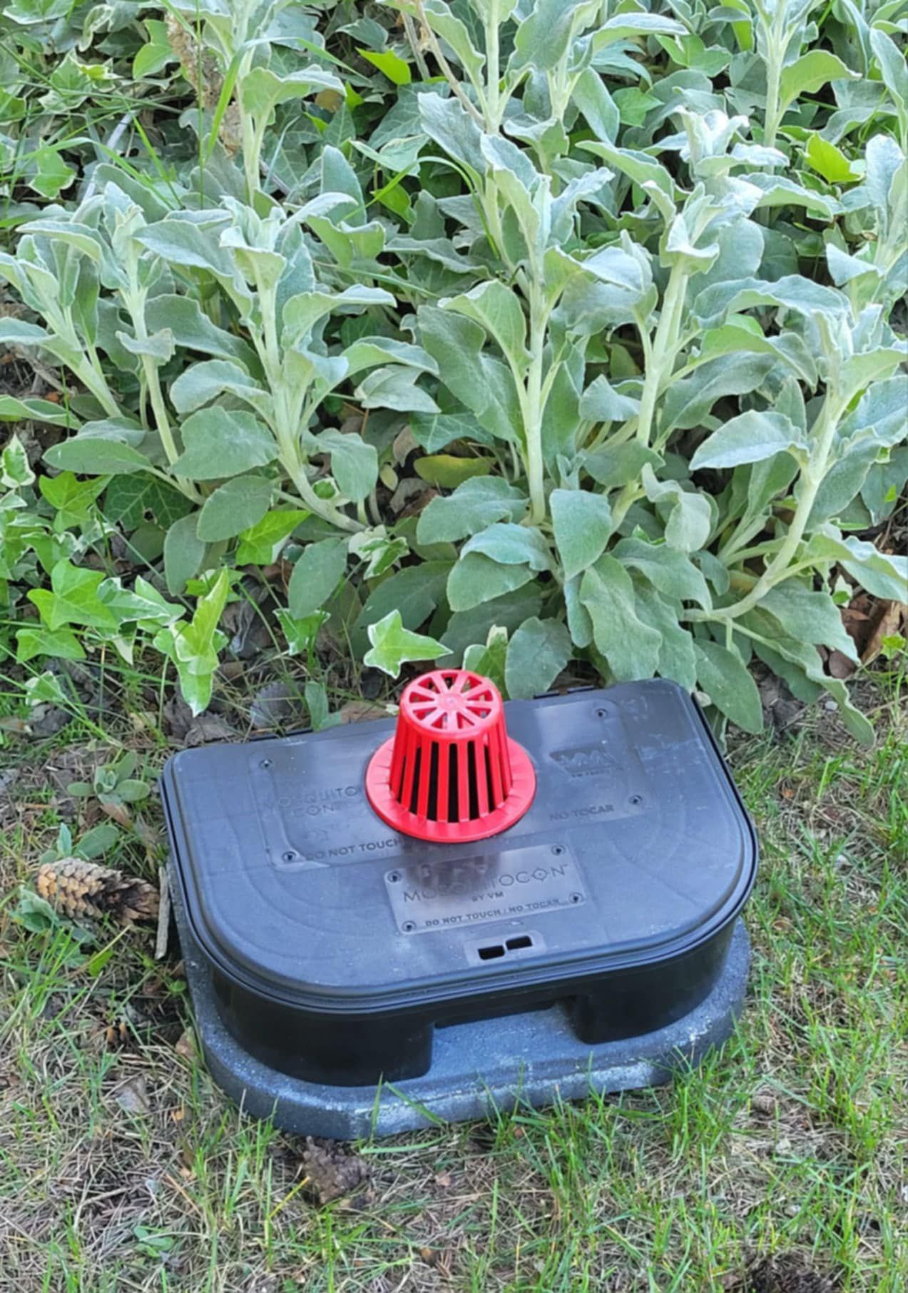A black box with a red drain on top of it is sitting in the grass next to a bush