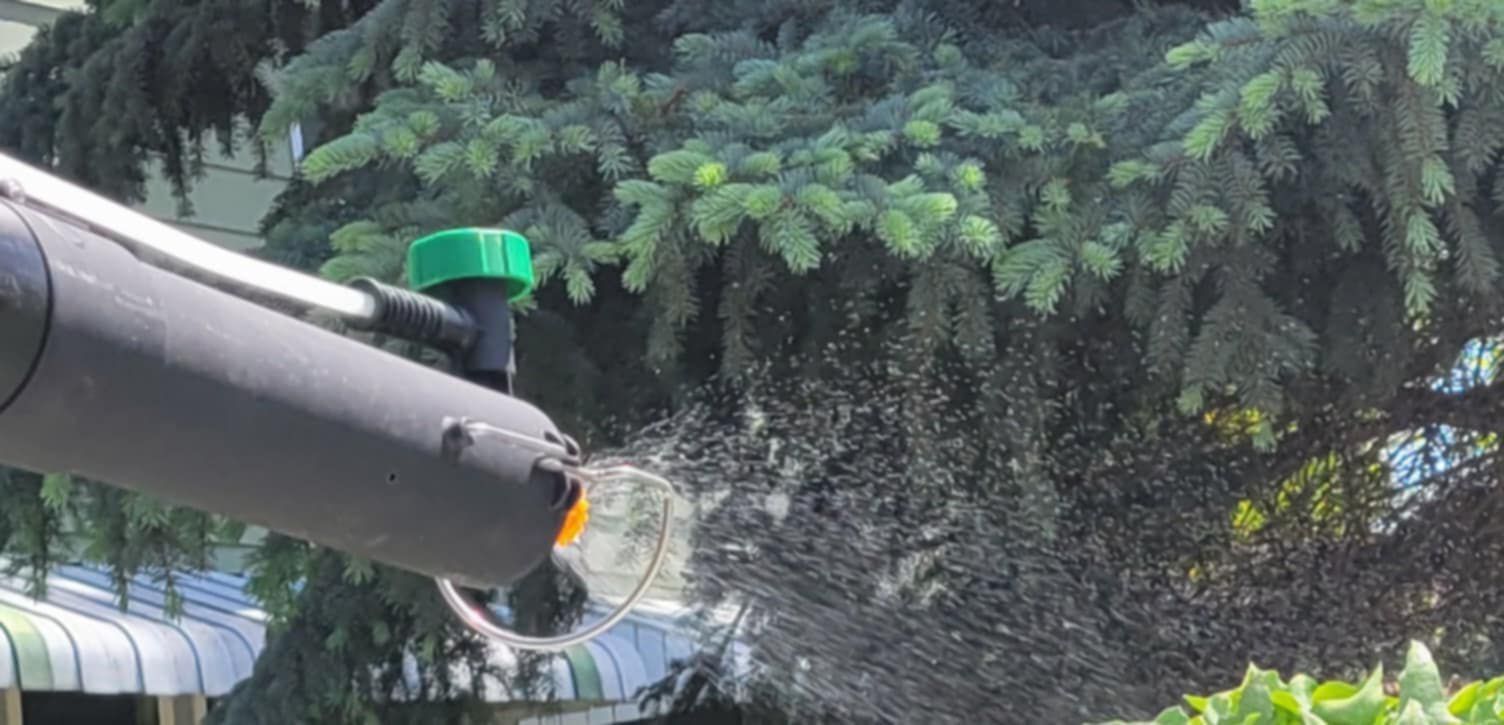 A person is spraying a tree with a sprayer