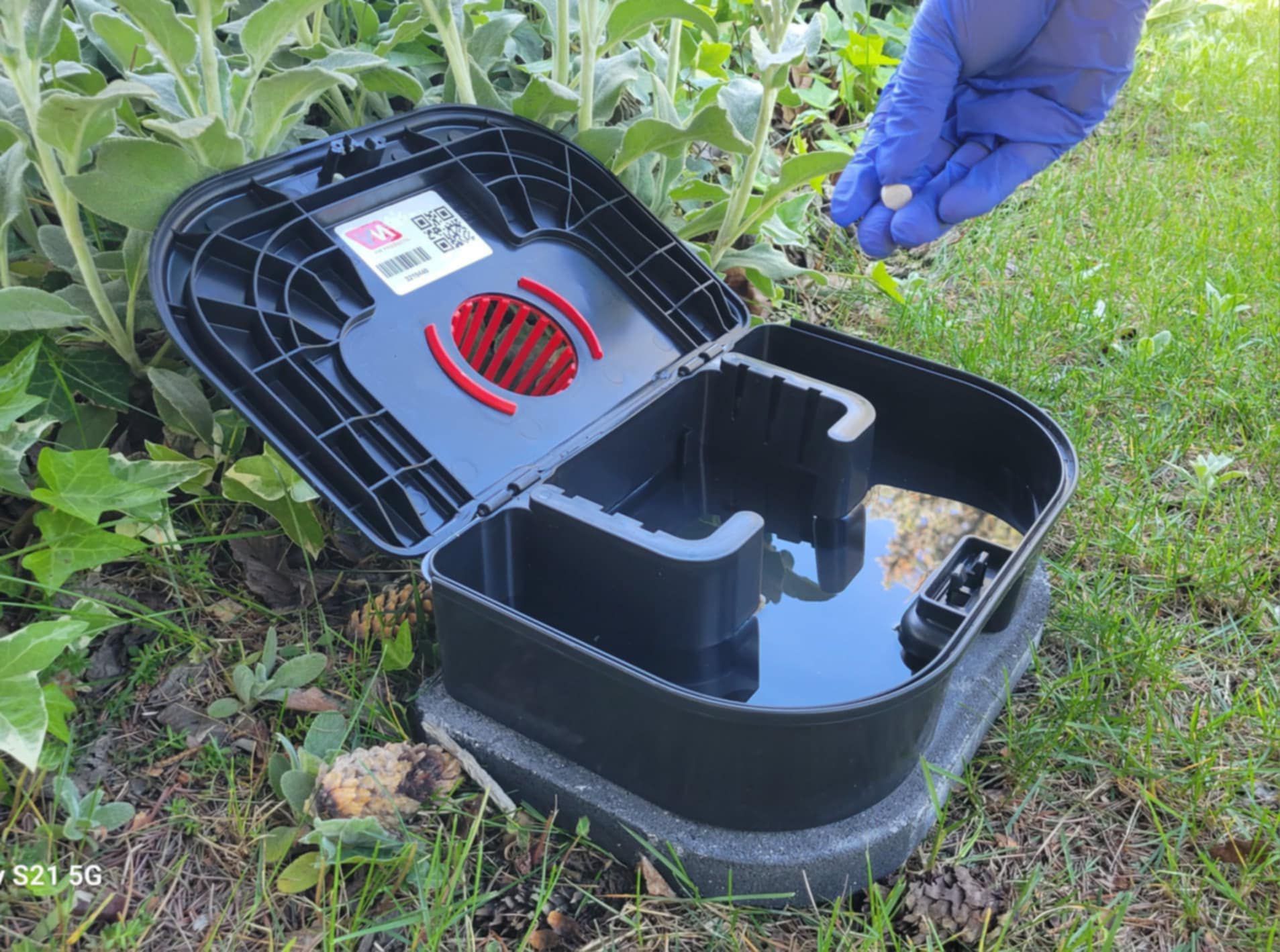 A person wearing blue gloves is holding a piece of paper in front of a mouse trap