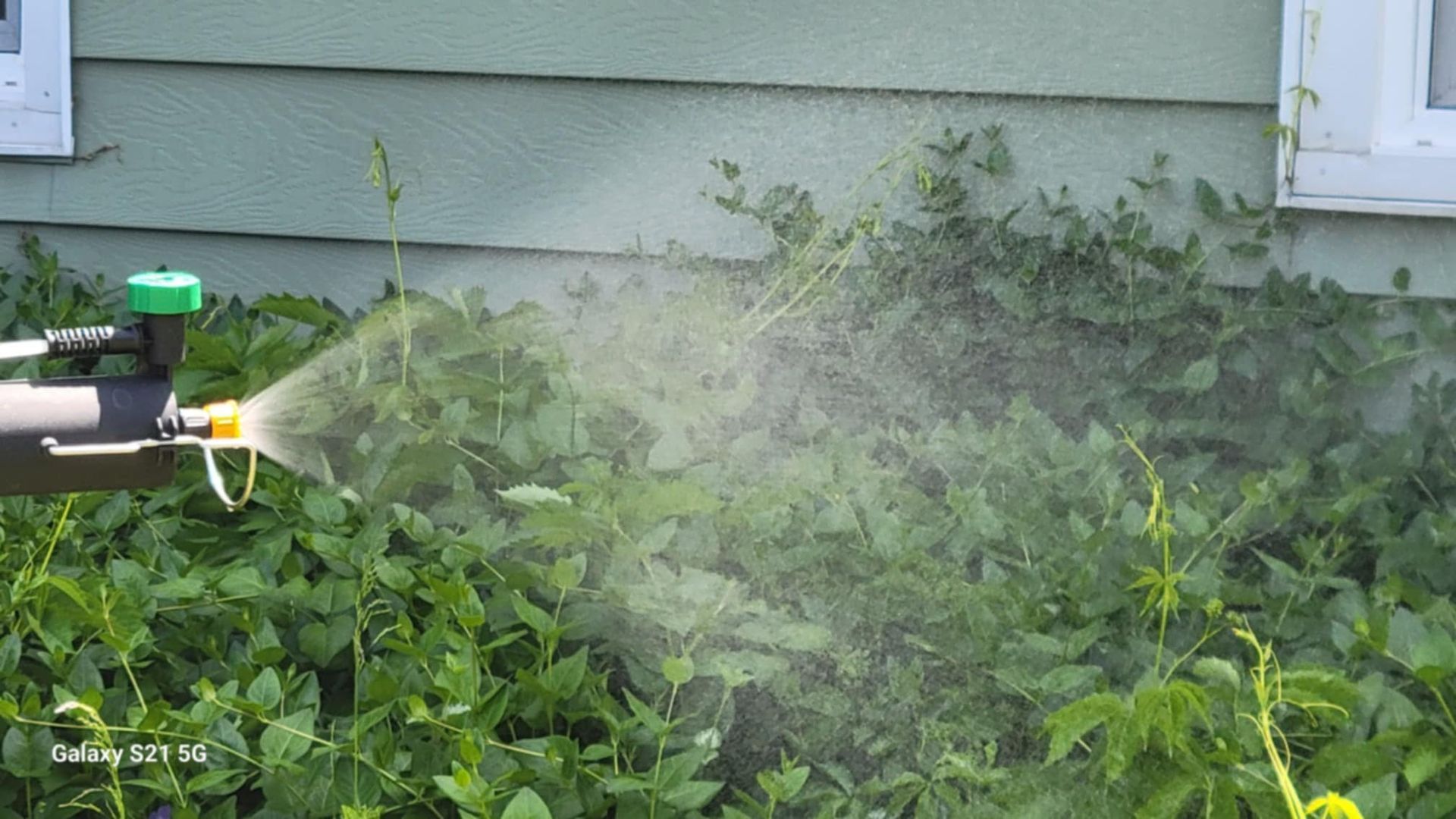 A sprayer is spraying a bush in front of a house
