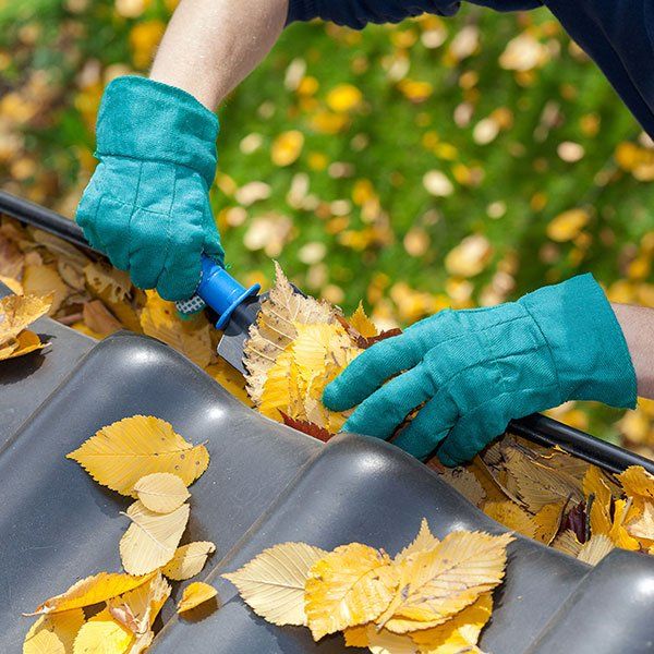 gutter cleaning