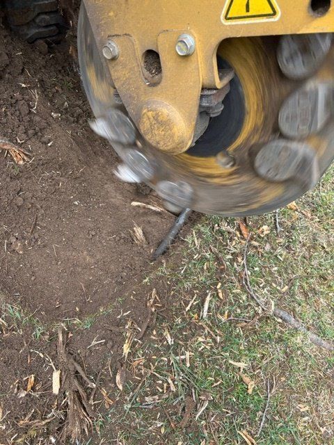 Stump grinding
