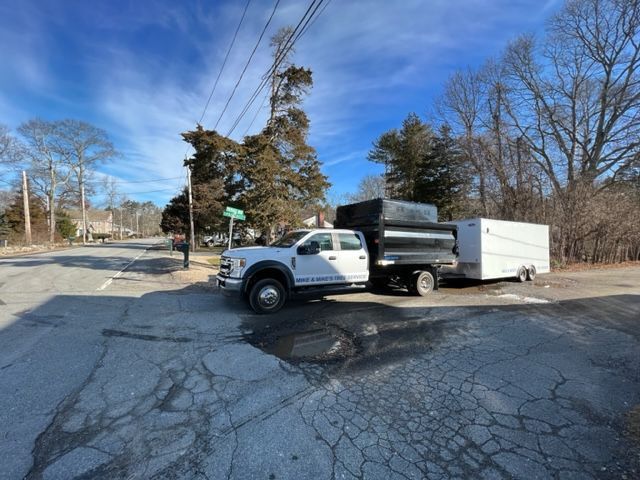Mike & Mike's Tree Service Truck