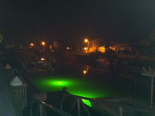 A dark waterfront scene at night, lit by streetlights. Green light illuminates the water, with buildings visible in the background.