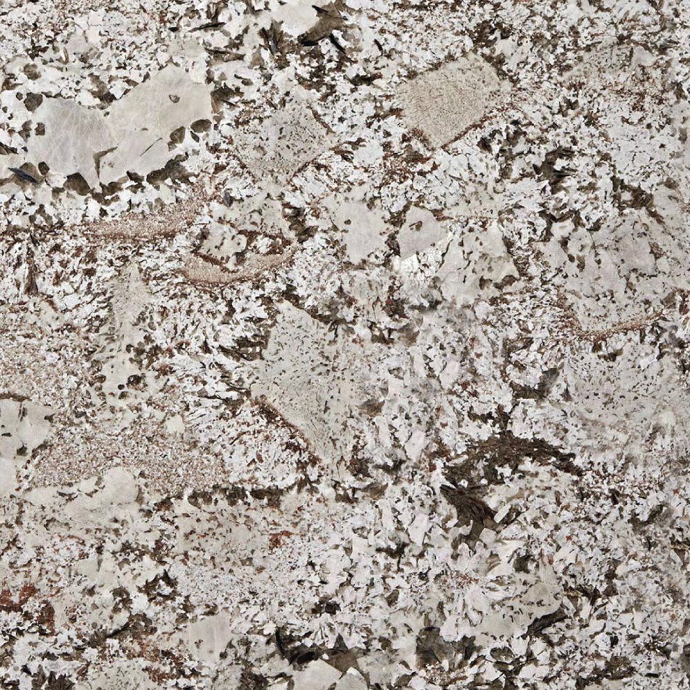 White and gray granite with scattered brown and black mineral deposits.