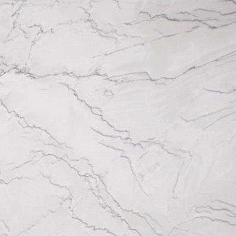 White marble slab with gray veining.