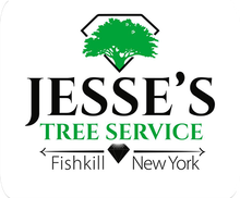 Jesse's Tree Service- logo