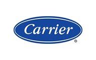 Carrier