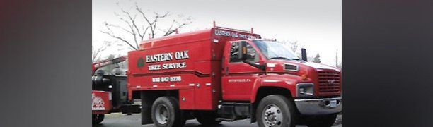 Eastern Oak Tree Service truck
