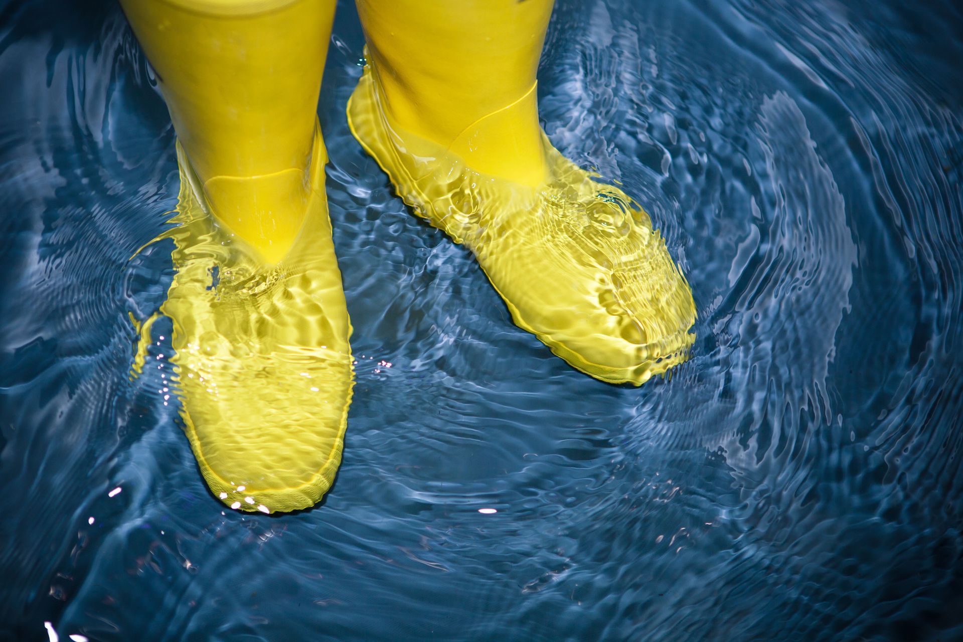 Yellow shoes submerged in blue water.