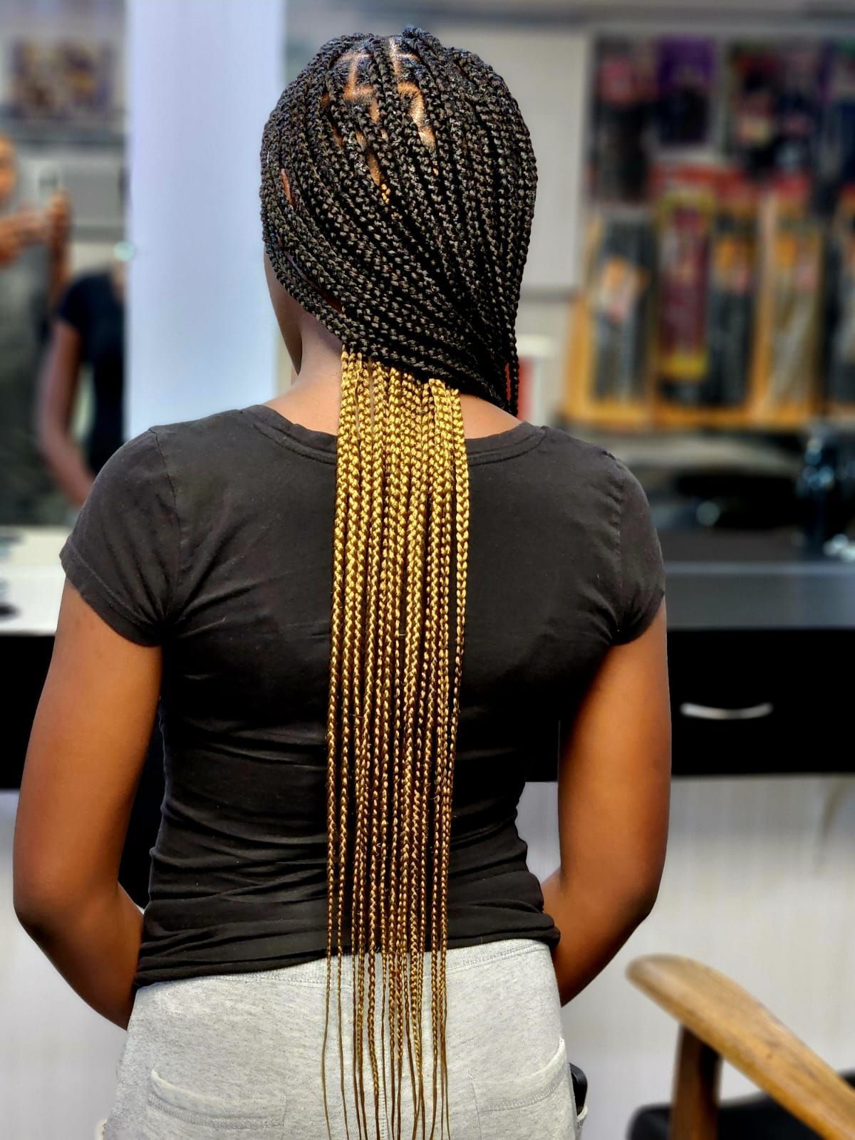 two color braid hairstyle