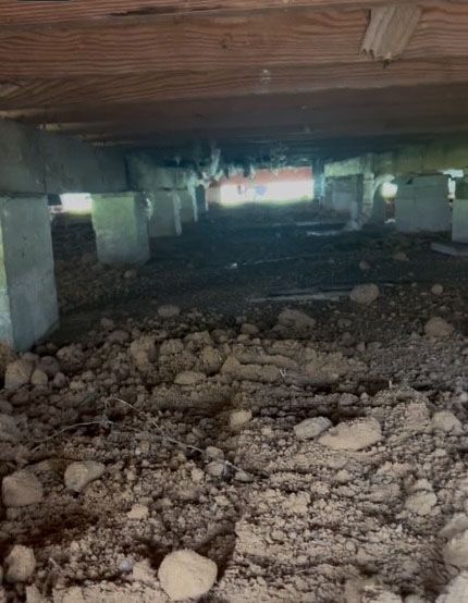 Underneath a house, concrete support pillars stand on soil