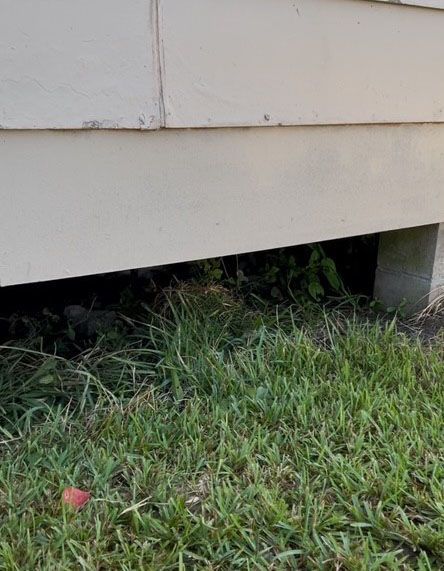 Grass and weeds under a house's siding