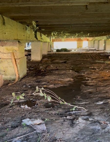 Underneath a house, a crawl space shows damp earth