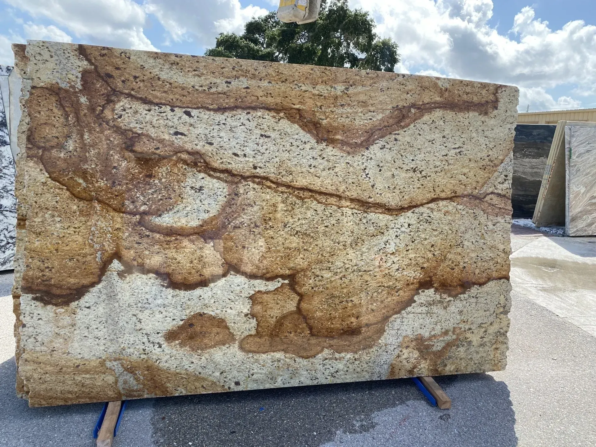 Large tan and brown patterned stone slab displayed outdoors on a gravel surface