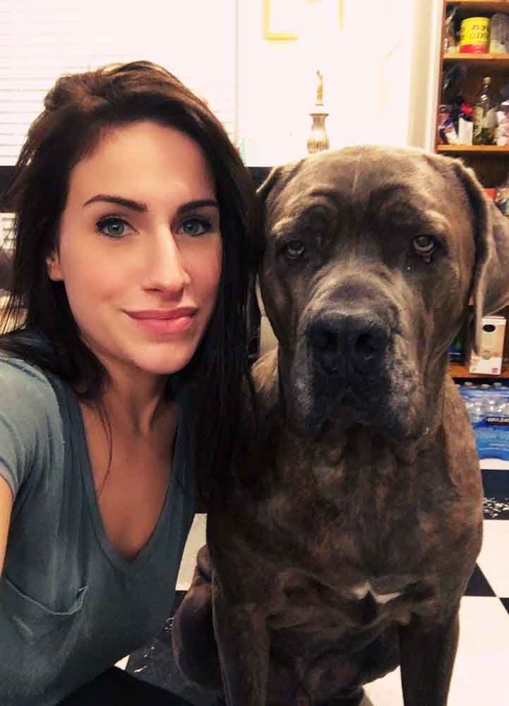 American Alpha K9 Training