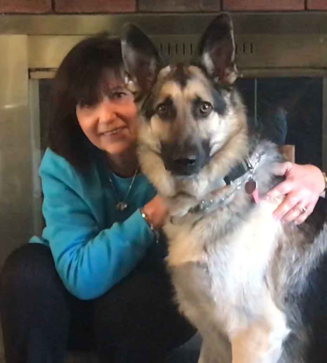 American Alpha K9 Training