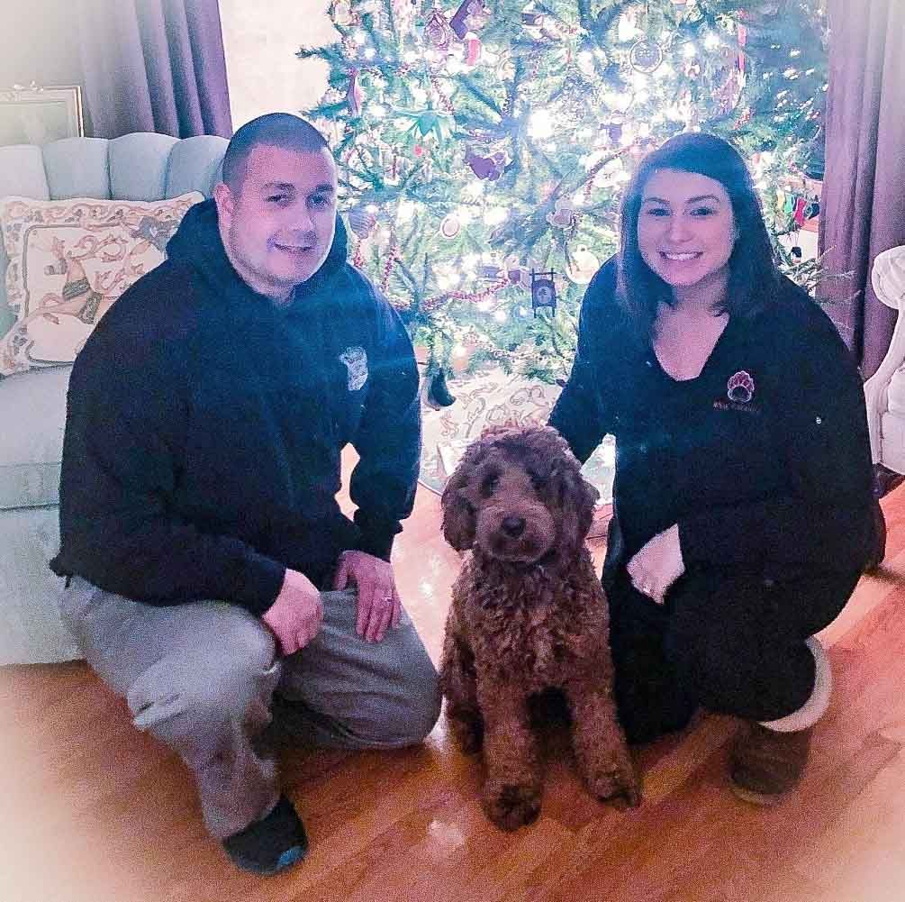 American Alpha K9 Training