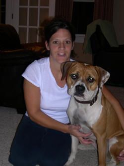 American Alpha K9 Training