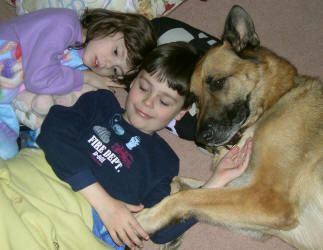Two children and a dog cuddled together on a bed, the dog's paw on the boy's hand.