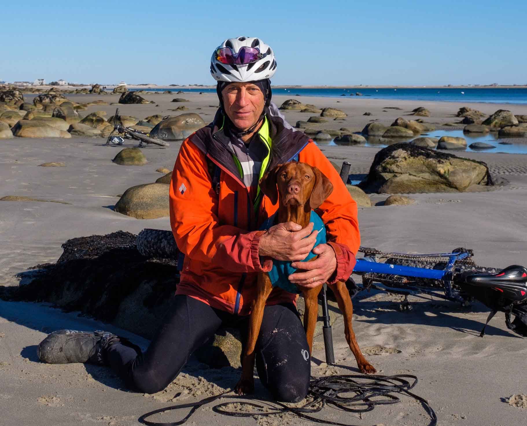 American Alpha K9 Training