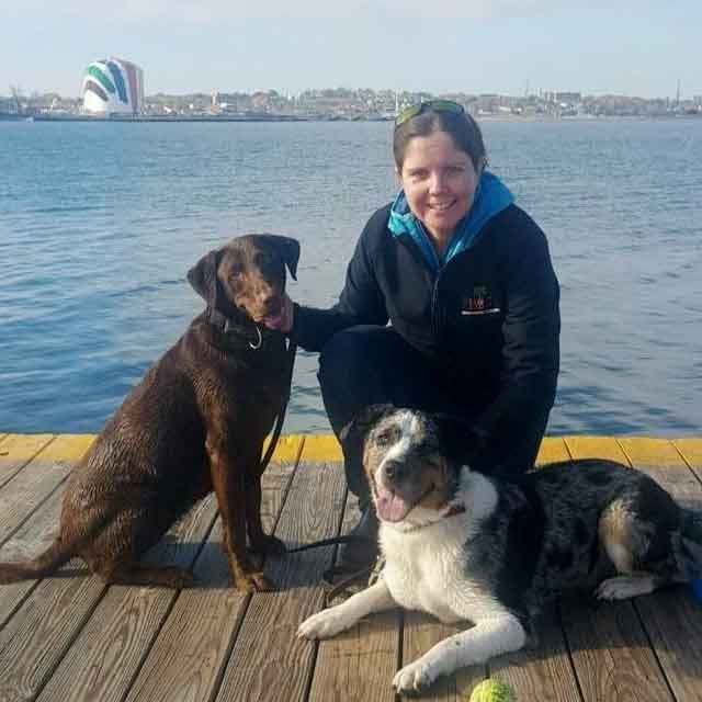 American Alpha K9 Training