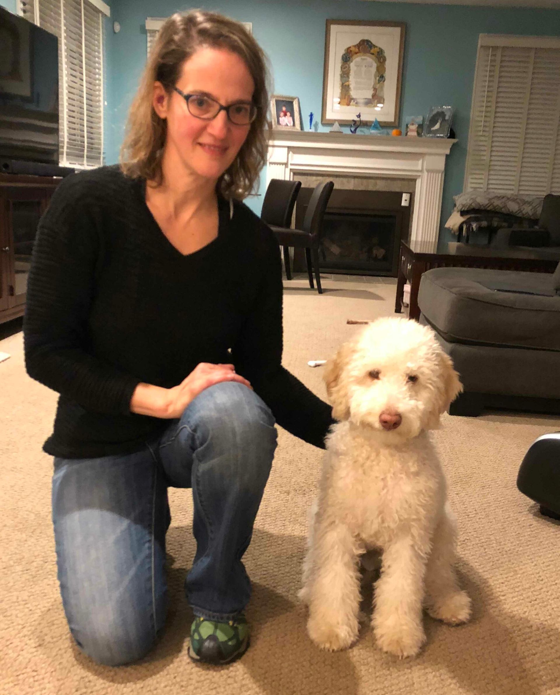 American Alpha K9 Training