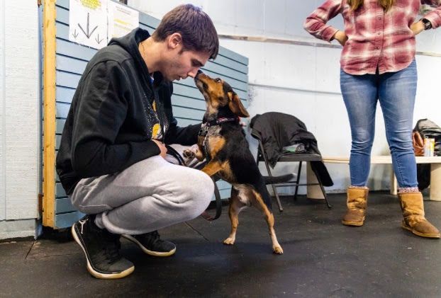 Man kneels, touching noses with a small dog standing on hind legs; woman in jeans watches. Indoor setting.