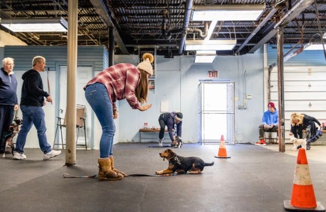 Dog training class: Woman with a dog on a leash, in an indoor space. People in background.