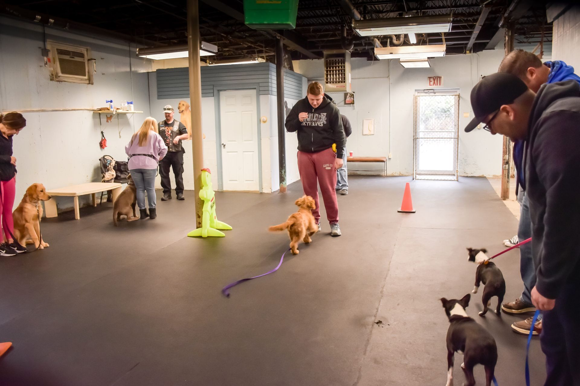People training dogs in an indoor space; dogs on leashes, one dog walks a course.