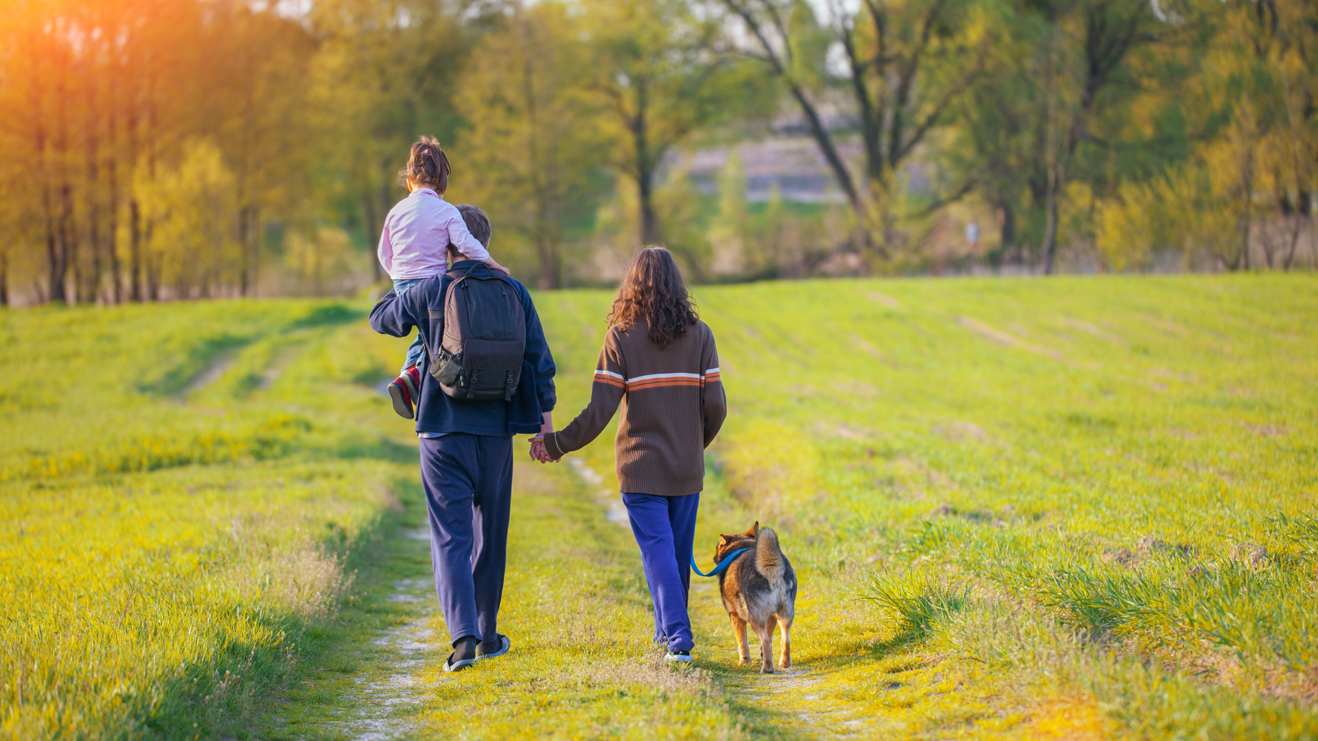 American Alpha K9 Training