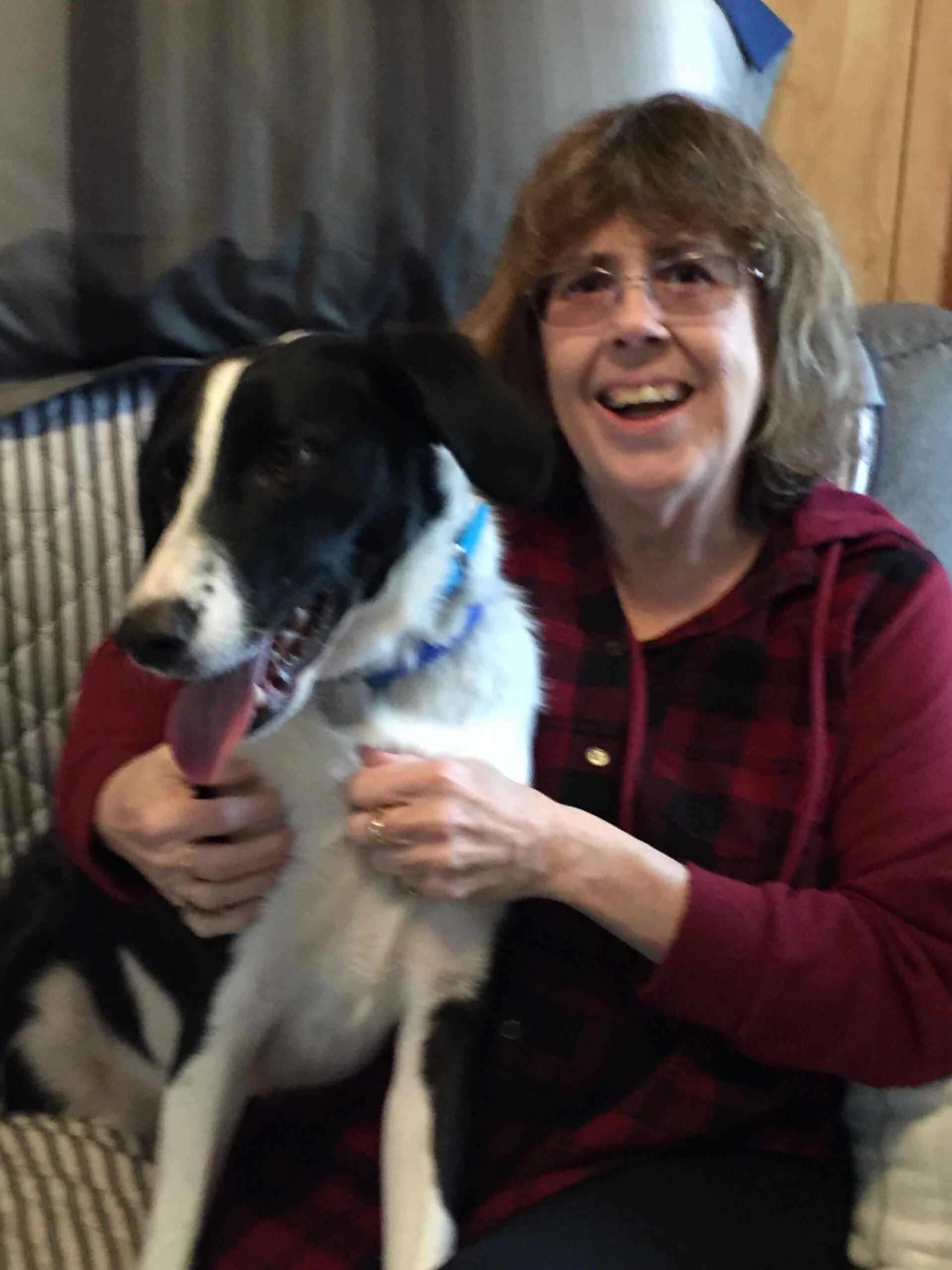 American Alpha K9 Training