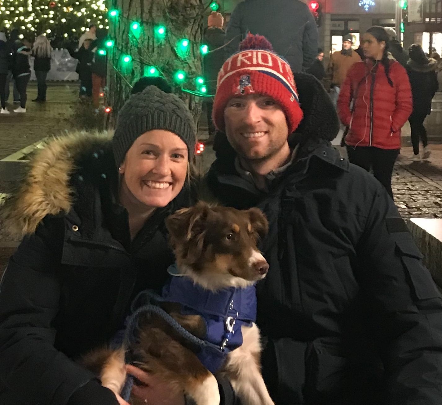 American Alpha K9 Training