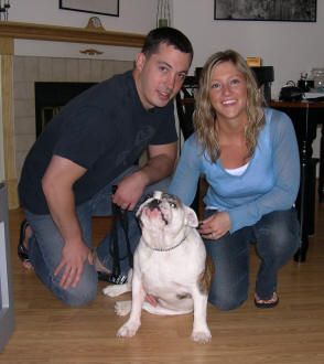 American Alpha K9 Training