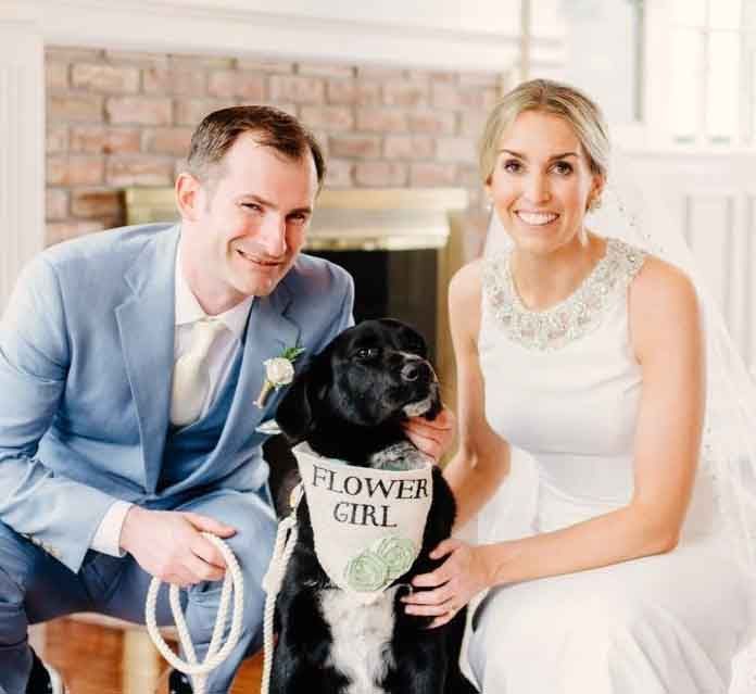 American Alpha K9 Training