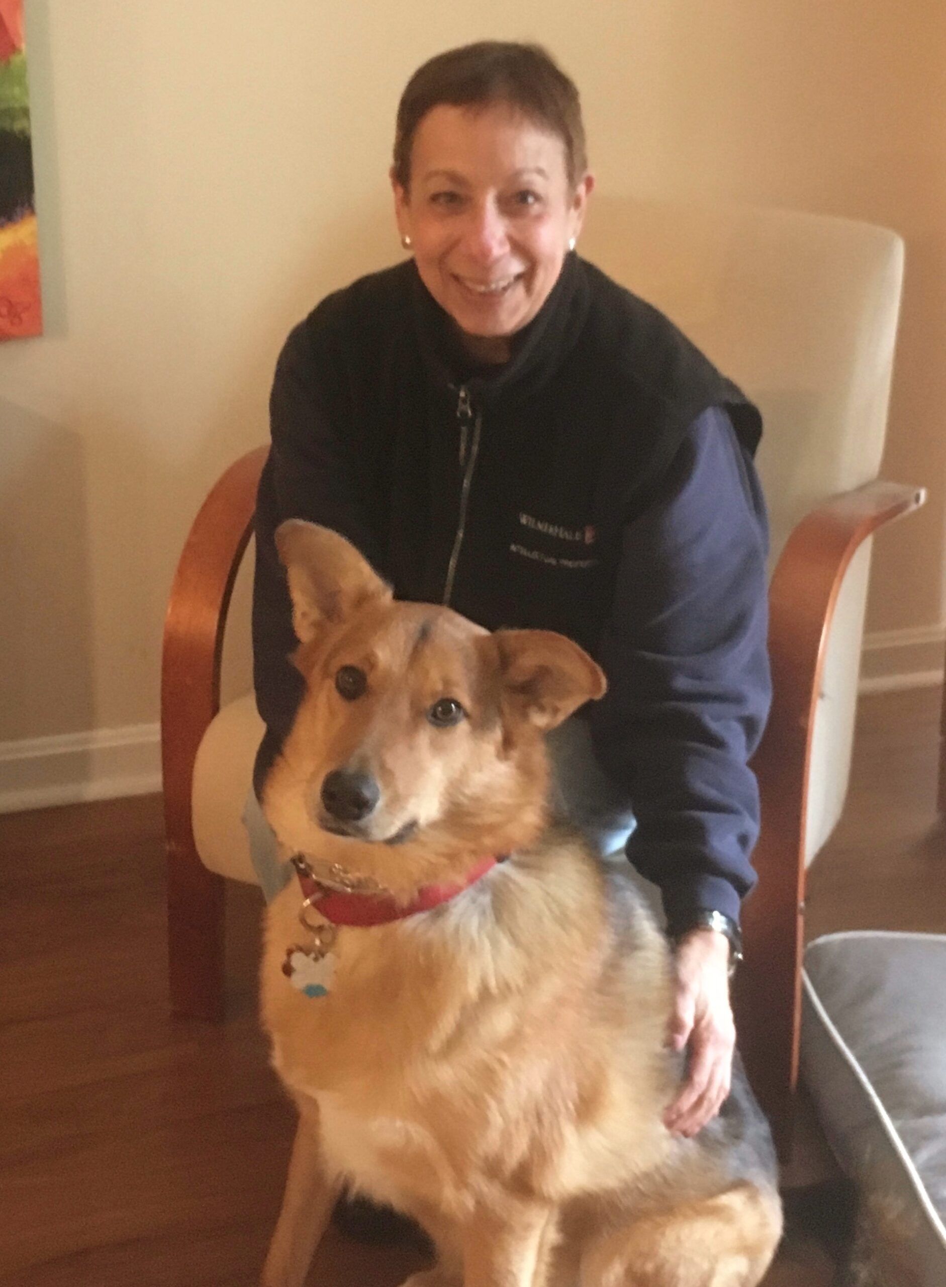 American Alpha K9 Training