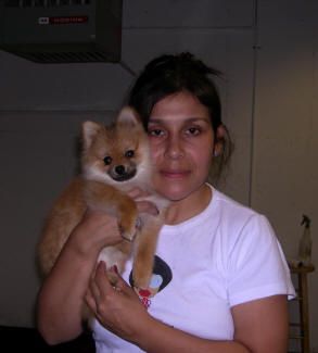 American Alpha K9 Training