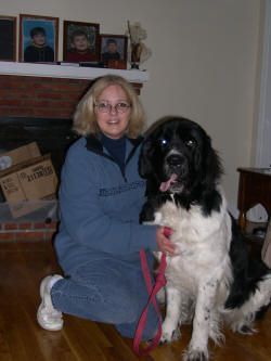 American Alpha K9 Training