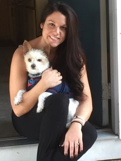 American Alpha K9 Training