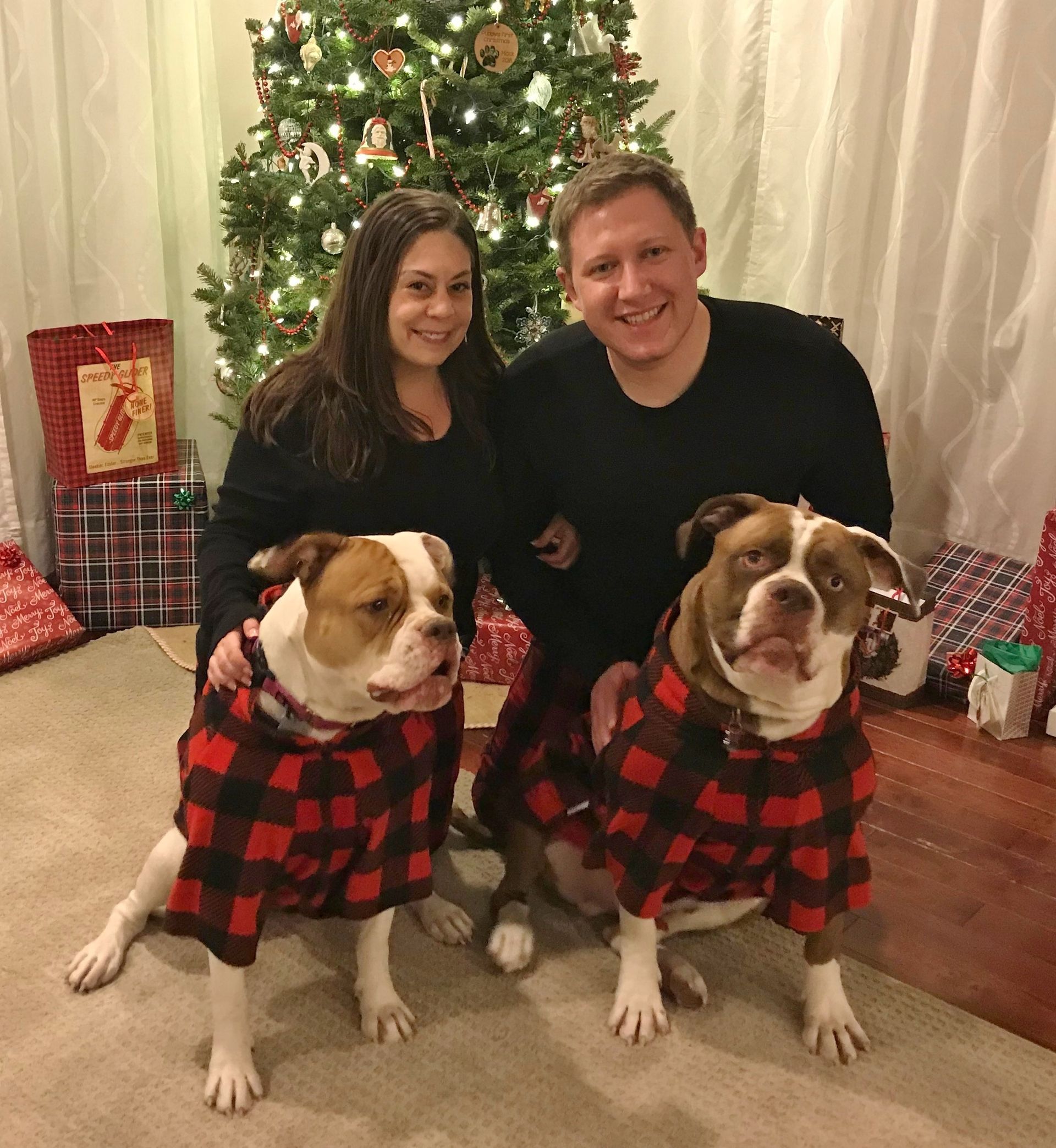 American Alpha K9 Training